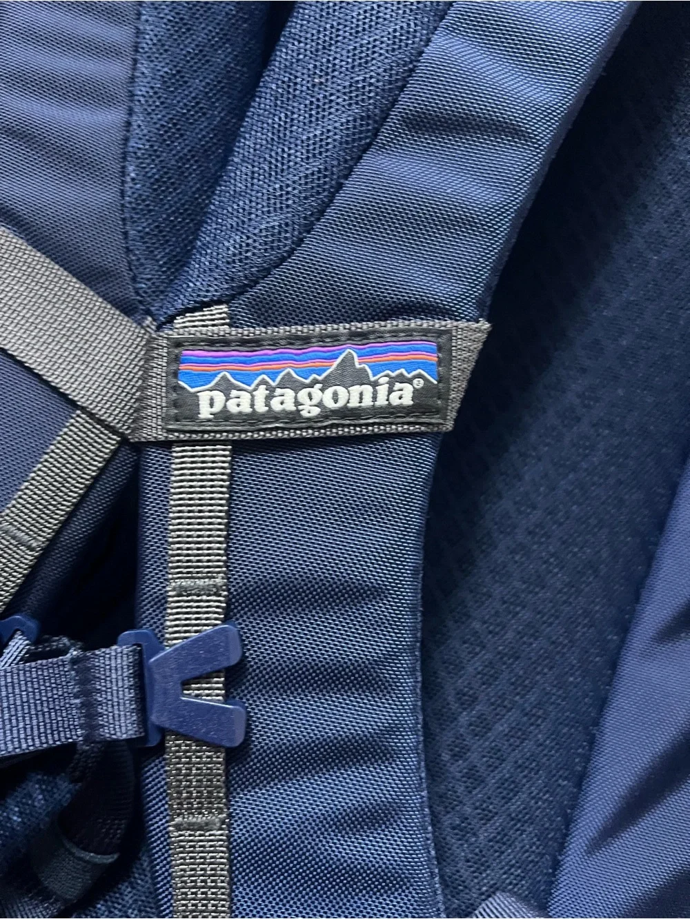 Patagonia Chacabuco 30L Backpack google cloud company swag